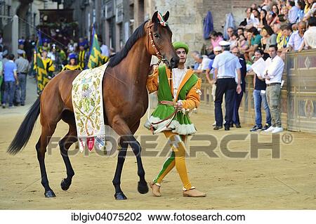 Stock Image - "Horse and horse leader of the Contrada of the Forest, Contrada della Selva, at the parade before the historical horse race Palio di Siena, Piazza del Campo, Siena, Tuscany, Italy, Europe". Fotosearch