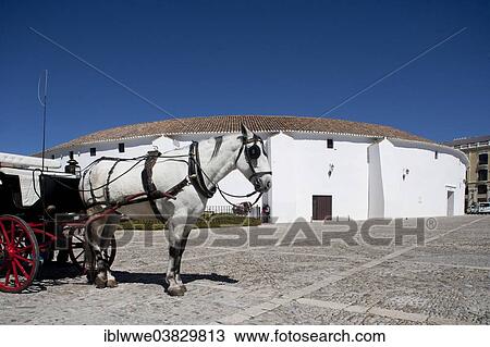 Stock Image - "Horse-drawn cab, bullring, Plaza Teniente Arce, Ronda, Province of Malaga, Andalusia, Spain, Europe". Fotosearch