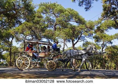 "Horse-drawn carriage, Buyukada, Prince Islands, Istanbul, Asian side, Istanbul Province, Turkey, Asia" View Large Photo Image Stock Photo - "Horse-drawn carriage, Buyukada, Prince Islands, Istanbul, Asian side, Istanbul Province, Turkey, Asia". Fotosearch