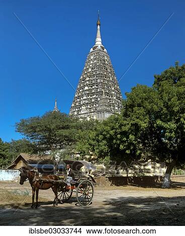 "Horse-drawn carriage in front of Mahabodhi Temple, field with ruins of Buddhist pagodas, Ebene von Pagan, Bagan, Mandalay Division, Myanmar, Burma, Asia" View Large Photo Image Picture - "Horse-drawn carriage in front of Mahabodhi Temple, field with ruins of Buddhist pagodas, Ebene von Pagan, Bagan, Mandalay Division, Myanmar, Burma, Asia". Fotosearch