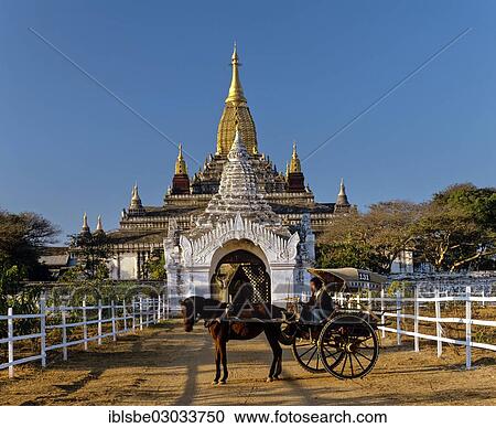 "Horse-drawn carriage in front of the Ananda Temple, gilded tower construction, Shikhara, porch, Ebene von Pagan, Bagan, Mandalay Division, Myanmar, Burma, Asia" View Large Photo Image Stock Image - "Horse-drawn carriage in front of the Ananda Temple, gilded tower construction, Shikhara, porch, Ebene von Pagan, Bagan, Mandalay Division, Myanmar, Burma, Asia". Fotosearch
