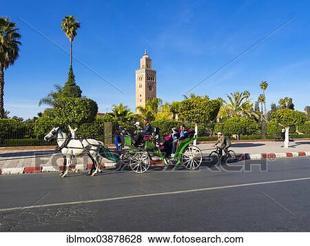 "Horse-drawn carriage in front of the Koutoubia Mosque, 1158, Medina, Marrakech, Marrakech-Tensift-Al Haouz, Morocco, Africa" View Large Photo Image Stock Photo - "Horse-drawn carriage in front of the Koutoubia Mosque, 1158, Medina, Marrakech, Marrakech-Tensift-Al Haouz, Morocco, Africa". Fotosearch