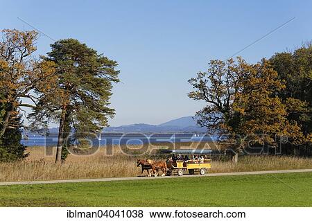 "Horse drawn carriage on Herreninsel island, Lake Chiemsee, Chiemgau, Upper Bavaria, Bavaria, Germany, Europe" View Large Photo Image Stock Photo - "Horse drawn carriage on Herreninsel island, Lake Chiemsee, Chiemgau, Upper Bavaria, Bavaria, Germany, Europe". Fotosearch