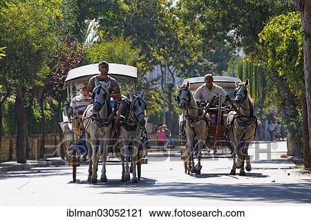 "Horse-drawn carriages, Buyukada, Prince Islands, Istanbul, Asian side, Istanbul Province, Turkey, Asia" View Large Photo Image Stock Image - "Horse-drawn carriages, Buyukada, Prince Islands, Istanbul, Asian side, Istanbul Province, Turkey, Asia". Fotosearch