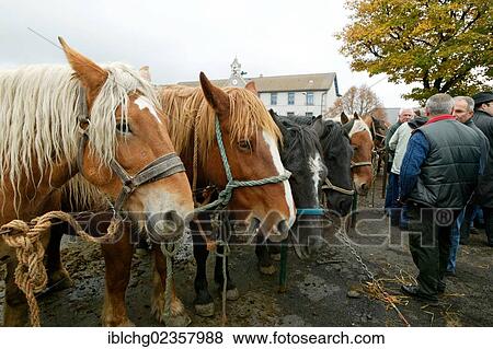 Stock Photo - "Horse fair at Fay sur Lignon, Monts du Mezenc et du Meygal, Haute Loire, Auvergne, France, Europe". Fotosearch