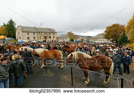 Stock Photography - "Horse fair at Fay sur Lignon, Monts du Mezenc et du Meygal, Haute Loire, Auvergne, France, Europe". Fotosearch