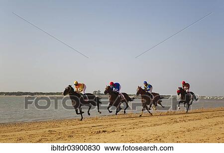 "Horse race at the beach of Sanlucar de Barrameda at the Guadalquivir river mouth, Cadiz province, Andalusia, Spain, Europe" View Large Photo Image Stock Image - "Horse race at the beach of Sanlucar de Barrameda at the Guadalquivir river mouth, Cadiz province, Andalusia, Spain, Europe". Fotosearch