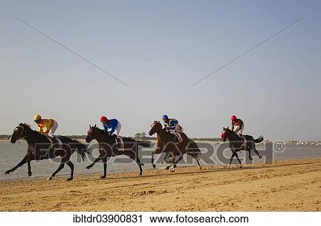 "Horse race at the beach of Sanlucar de Barrameda at the Guadalquivir river mouth, Cadiz province, Andalusia, Spain, Europe" View Large Photo Image Stock Image - "Horse race at the beach of Sanlucar de Barrameda at the Guadalquivir river mouth, Cadiz province, Andalusia, Spain, Europe". Fotosearch