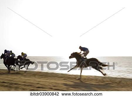 "Horse race at the beach of Sanlucar de Barrameda at the Guadalquivir river mouth, Cadiz province, Andalusia, Spain, Europe" View Large Photo Image Stock Image - "Horse race at the beach of Sanlucar de Barrameda at the Guadalquivir river mouth, Cadiz province, Andalusia, Spain, Europe". Fotosearch