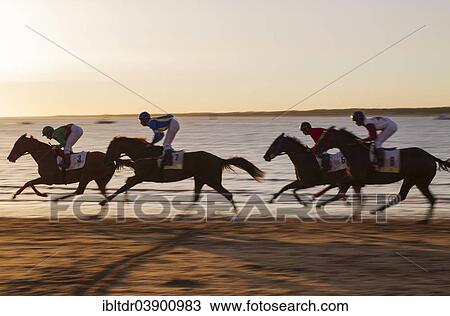 "Horse race at the beach of Sanlucar de Barrameda at the Guadalquivir river mouth, Cadiz province, Andalusia, Spain, Europe" View Large Photo Image Stock Image - "Horse race at the beach of Sanlucar de Barrameda at the Guadalquivir river mouth, Cadiz province, Andalusia, Spain, Europe". Fotosearch