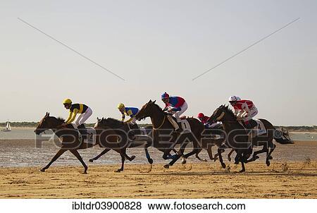 "Horse race at the beach of Sanlucar de Barrameda at the Guadalquivir river mouth, Cadiz province, Andalusia, Spain, Europe" View Large Photo Image Stock Photo - "Horse race at the beach of Sanlucar de Barrameda at the Guadalquivir river mouth, Cadiz province, Andalusia, Spain, Europe". Fotosearch