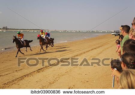"Horse race at the beach of Sanlucar de Barrameda at the Guadalquivir river mouth, Cadiz province, Andalusia, Spain, Europe" View Large Photo Image Stock Photograph - "Horse race at the beach of Sanlucar de Barrameda at the Guadalquivir river mouth, Cadiz province, Andalusia, Spain, Europe". Fotosearch