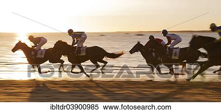Stock Photography - "Horse race at the beach of Sanlucar de Barrameda at the Guadalquivir river mouth, Cadiz province, Andalusia, Spain, Europe". Fotosearch