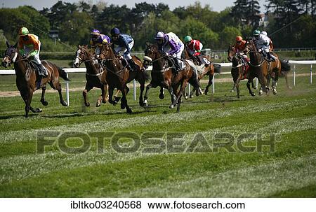 "Horse racing at a racecourse, Cologne, Rhineland, North Rhine-Westphalia, Germany, Europe" View Large Photo Image Stock Photo - "Horse racing at a racecourse, Cologne, Rhineland, North Rhine-Westphalia, Germany, Europe". Fotosearch