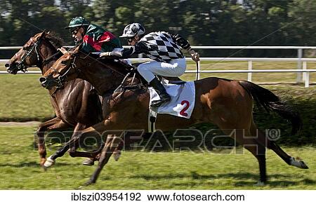 "Horse racing, Dortmund, Ruhr district, North Rhine-Westphalia, Germany, Europe" View Large Photo Image Stock Image - "Horse racing, Dortmund, Ruhr district, North Rhine-Westphalia, Germany, Europe". Fotosearch