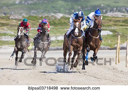 "Horse racing, Omey Island, Connemara, County Galway, Ireland, Europe" View Large Photo Image Stock Photo - "Horse racing, Omey Island, Connemara, County Galway, Ireland, Europe". Fotosearch