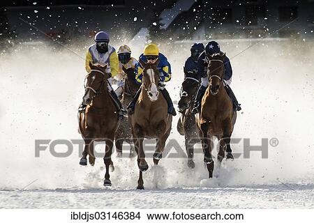 "Horse racing on a frozen lake, St. Moritz, Engadin, Graubunden, Switzerland, Europe" View Large Photo Image Picture - "Horse racing on a frozen lake, St. Moritz, Engadin, Graubunden, Switzerland, Europe". Fotosearch