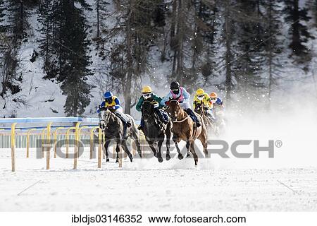 "Horse racing on a frozen lake, St. Moritz, Engadin, Graubunden, Switzerland, Europe" View Large Photo Image Stock Image - "Horse racing on a frozen lake, St. Moritz, Engadin, Graubunden, Switzerland, Europe". Fotosearch
