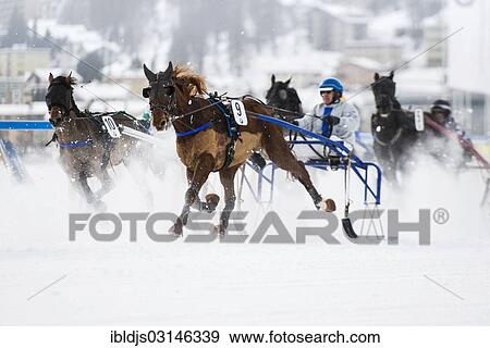 "Horse racing on a frozen lake, St. Moritz, Engadin, Graubunden, Switzerland, Europe" View Large Photo Image Stock Photo - "Horse racing on a frozen lake, St. Moritz, Engadin, Graubunden, Switzerland, Europe". Fotosearch