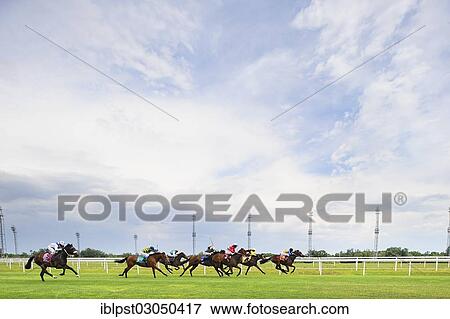 "Horse racing on the track, Ebreichsdorf, Lower Austria, Austria, Europe" View Large Photo Image Stock Photo - "Horse racing on the track, Ebreichsdorf, Lower Austria, Austria, Europe". Fotosearch