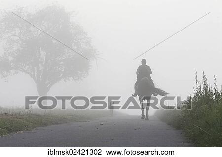 Horseman in the morning mist on Dinkelberg mountain, near Minseln, Rheinfelden - Baden, Baden-Wuerttemberg, Germany, Europe View Large Photo Image Stock Image - Horseman in the morning mist on Dinkelberg mountain, near Minseln, Rheinfelden - Baden, Baden-Wuerttemberg, Germany, Europe. Fotosearch