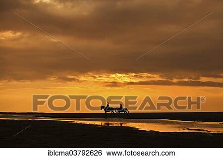 "Horseriders at sunset on the beach of Borkum, Lower Saxony, Germany, Europe" View Large Photo Image Stock Photograph - "Horseriders at sunset on the beach of Borkum, Lower Saxony, Germany, Europe". Fotosearch