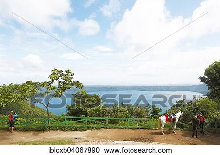 Stock Image - "Horses at the Laguna de Apoyo, Granada province, Nicaragua, North America". Fotosearch