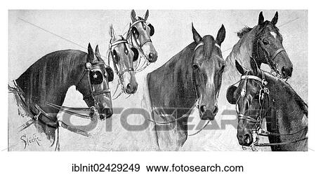 "Horses from the imperial stables, Modern Art in Master Woodcuts, yearbook from 1900" View Large Photo Image Stock Photo - "Horses from the imperial stables, Modern Art in Master Woodcuts, yearbook from 1900". Fotosearch