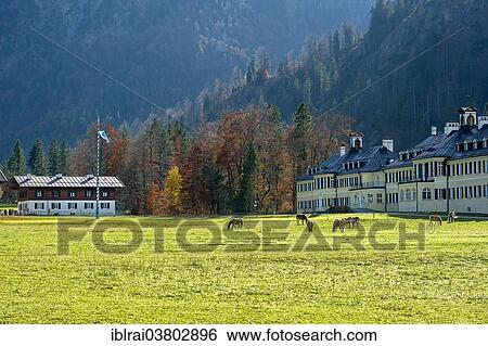 "Horses on the pasture, Altes Bad of the Holy Cross, and educational center of the Hanns Seidel Foundation, former bathhouse, Wildbad Kreuth, Upper Bavaria, Bavaria, Germany, Europe" View Large Photo Image Stock Photograph - "Horses on the pasture, Altes Bad of the Holy Cross, and educational center of the Hanns Seidel Foundation, former bathhouse, Wildbad Kreuth, Upper Bavaria, Bavaria, Germany, Europe". Fotosearch