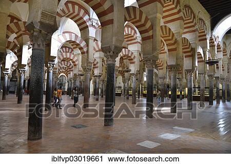 "Horseshoe arches inside the Mezquita, Mosque? ÇôCathedral of Cordoba, Cathedral of Our Lady of the Conception, Cordoba, Cordoba province, Andalusia, Spain, Europe" View Large Photo Image Stock Image - "Horseshoe arches inside the Mezquita, Mosque? ÇôCathedral of Cordoba, Cathedral of Our Lady of the Conception, Cordoba, Cordoba province, Andalusia, Spain, Europe". Fotosearch