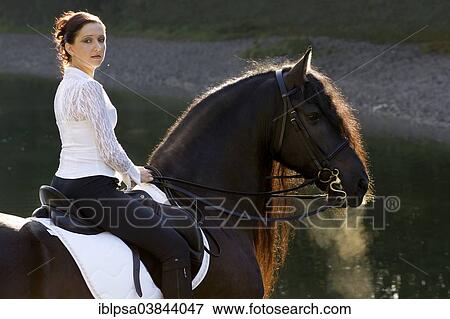 "Horsewoman riding a black Friesian horse, on the lakefront, backlit, Northern Tyrol, Austria, Europe" View Large Photo Image Stock Photo - "Horsewoman riding a black Friesian horse, on the lakefront, backlit, Northern Tyrol, Austria, Europe". Fotosearch