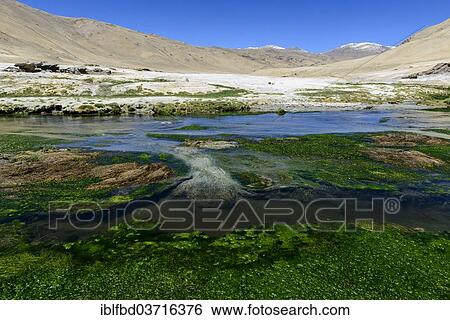 "Hot springs, Korzok, Ladakh, Jammu and Kashmir, India, Asia" View Large Photo Image Stock Photograph - "Hot springs, Korzok, Ladakh, Jammu and Kashmir, India, Asia". Fotosearch