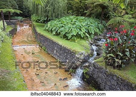 "Hot springs, Poca da Dona Beija, Furnas, Sao Miguel, Azores, Portugal, Europe" View Large Photo Image Stock Image - "Hot springs, Poca da Dona Beija, Furnas, Sao Miguel, Azores, Portugal, Europe". Fotosearch
