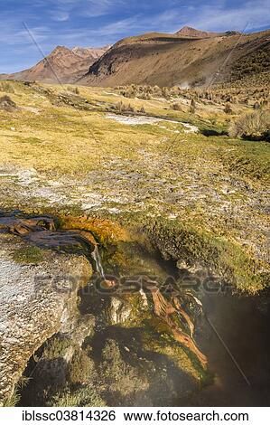 Stock Photograph - "Hot springs, Sajama National Park, Altiplano Highlands, Bolivia, South America". Fotosearch