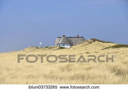 "Hotel Dorint Sol'ring-Hof in the dunes of Rantum, Rantum, Sylt, North Frisian Islands, Schleswig-Holstein, Germany, Europe" View Large Photo Image Stock Photography - "Hotel Dorint Sol'ring-Hof in the dunes of Rantum, Rantum, Sylt, North Frisian Islands, Schleswig-Holstein, Germany, Europe". Fotosearch