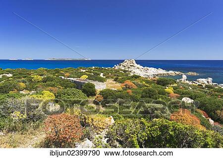 "House and Macchia shrubland on the beach of Punta Molentis, Villasimius, Sarrabus, Cagliari province, Sardinia, Italy, Europe" View Large Photo Image Stock Image - "House and Macchia shrubland on the beach of Punta Molentis, Villasimius, Sarrabus, Cagliari province, Sardinia, Italy, Europe". Fotosearch