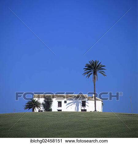 "House and palm trees on the top of the hill, Andalusia, Spain, Europe" View Large Photo Image Stock Image - "House and palm trees on the top of the hill, Andalusia, Spain, Europe". Fotosearch