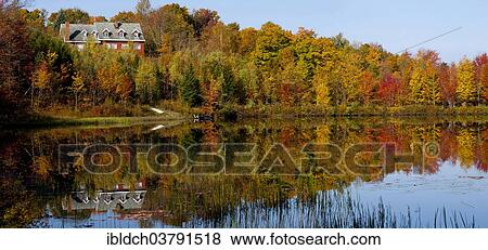 "House on beaver pond amongst the trees in autumn, Eastern Townships, West Bolton, Quebec, Canada, North America" View Large Photo Image Stock Photo - "House on beaver pond amongst the trees in autumn, Eastern Townships, West Bolton, Quebec, Canada, North America". Fotosearch