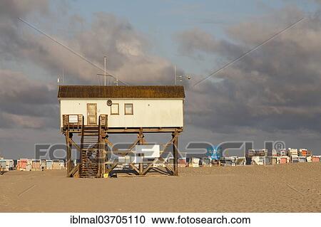 "House on stilts on the beach, St. Peter-Ording, Eiderstedt, North Frisia, Schleswig-Holstein, Germany, Europe" View Large Photo Image Stock Image - "House on stilts on the beach, St. Peter-Ording, Eiderstedt, North Frisia, Schleswig-Holstein, Germany, Europe". Fotosearch