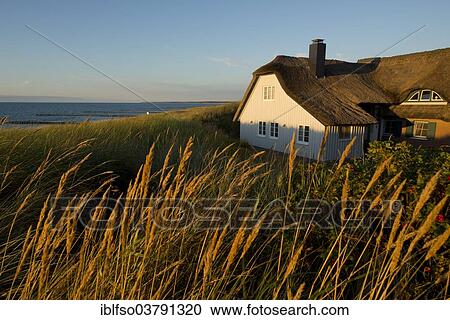 Stock Image - "House on the Baltic Sea, Ahrenshoop resort, Mecklenburg-Vorpommern, Germany, Europe". Fotosearch