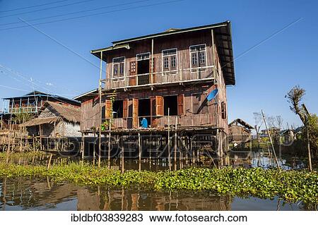 "House on the water, floating village, Inle Lake, Shan State, Myanmar, Asia" View Large Photo Image Stock Image - "House on the water, floating village, Inle Lake, Shan State, Myanmar, Asia". Fotosearch
