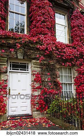 "House overgrown with red foliage in Bath, Somerset, England, United Kingdom, Europe" View Large Photo Image Stock Photo - "House overgrown with red foliage in Bath, Somerset, England, United Kingdom, Europe". Fotosearch