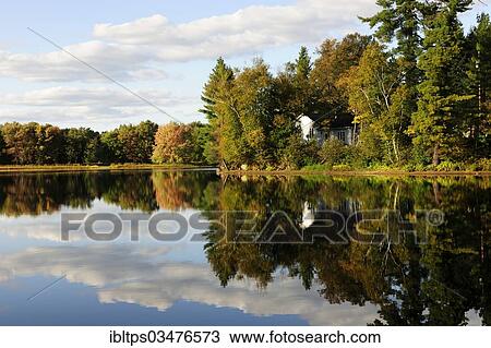 "House surrounded by the autumn-coloured forest reflecting in Lake Kamaniskeg, Algonquin Provincial Park, Ontario Province, Canada, North America" View Large Photo Image Stock Image - "House surrounded by the autumn-coloured forest reflecting in Lake Kamaniskeg, Algonquin Provincial Park, Ontario Province, Canada, North America". Fotosearch