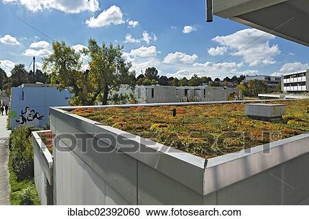 "House with a green flat roof in the former Olympic Village, Munich, Bavaria, Germany, Europe" View Large Photo Image Stock Image - "House with a green flat roof in the former Olympic Village, Munich, Bavaria, Germany, Europe". Fotosearch
