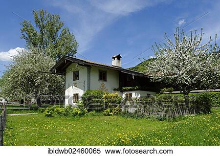 "House with mural paintings, Osterhofen in the Leitzachtal valley, near Bayrischzell, Upper Bavaria, Bavaria, Germany, Europe" View Large Photo Image Stock Photography - "House with mural paintings, Osterhofen in the Leitzachtal valley, near Bayrischzell, Upper Bavaria, Bavaria, Germany, Europe". Fotosearch