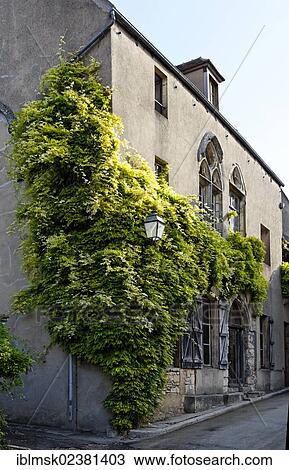 "House with plants on the facade, old town of Vezelay, Burgundy, Yonne, France, Europe" View Large Photo Image Stock Image - "House with plants on the facade, old town of Vezelay, Burgundy, Yonne, France, Europe". Fotosearch