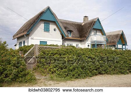"House with thatched roof, Graswarder, Heiligenhafen, Schleswig-Holstein, Germany, Europe" View Large Photo Image Stock Photography - "House with thatched roof, Graswarder, Heiligenhafen, Schleswig-Holstein, Germany, Europe". Fotosearch