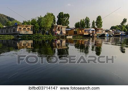 "Houseboats on Dal Lake, with reflections, Srinagar, Jammu and Kashmir, India, Asia" View Large Photo Image Stock Photo - "Houseboats on Dal Lake, with reflections, Srinagar, Jammu and Kashmir, India, Asia". Fotosearch