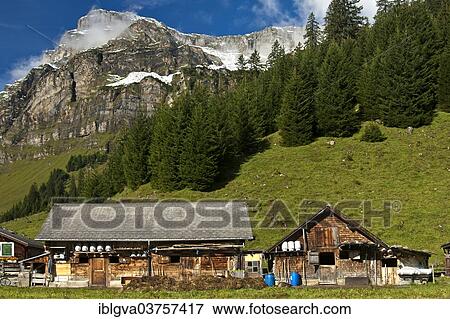 "Houses and farm buildings on the Urnerboden mountain pasture, Urnerboden, Canton of Uri, Switzerland, Europe" View Large Photo Image Stock Photo - "Houses and farm buildings on the Urnerboden mountain pasture, Urnerboden, Canton of Uri, Switzerland, Europe". Fotosearch