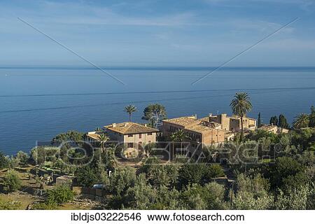 "Houses and palm trees by the sea, Lluc Alcari, Deia, Majorca, Balearic Islands, Spain, Europe" View Large Photo Image Stock Photograph - "Houses and palm trees by the sea, Lluc Alcari, Deia, Majorca, Balearic Islands, Spain, Europe". Fotosearch